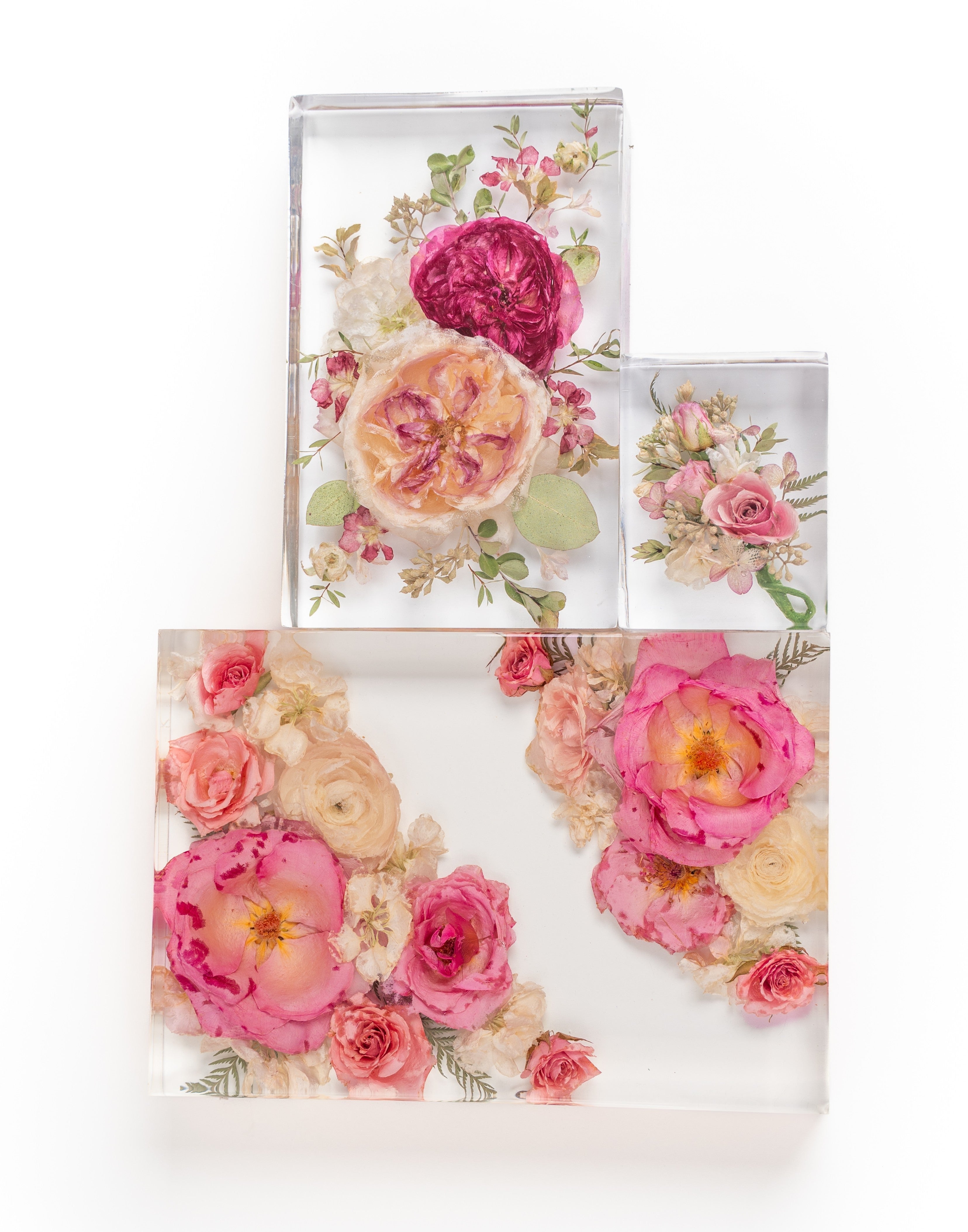 flower-preservation-rectangles
