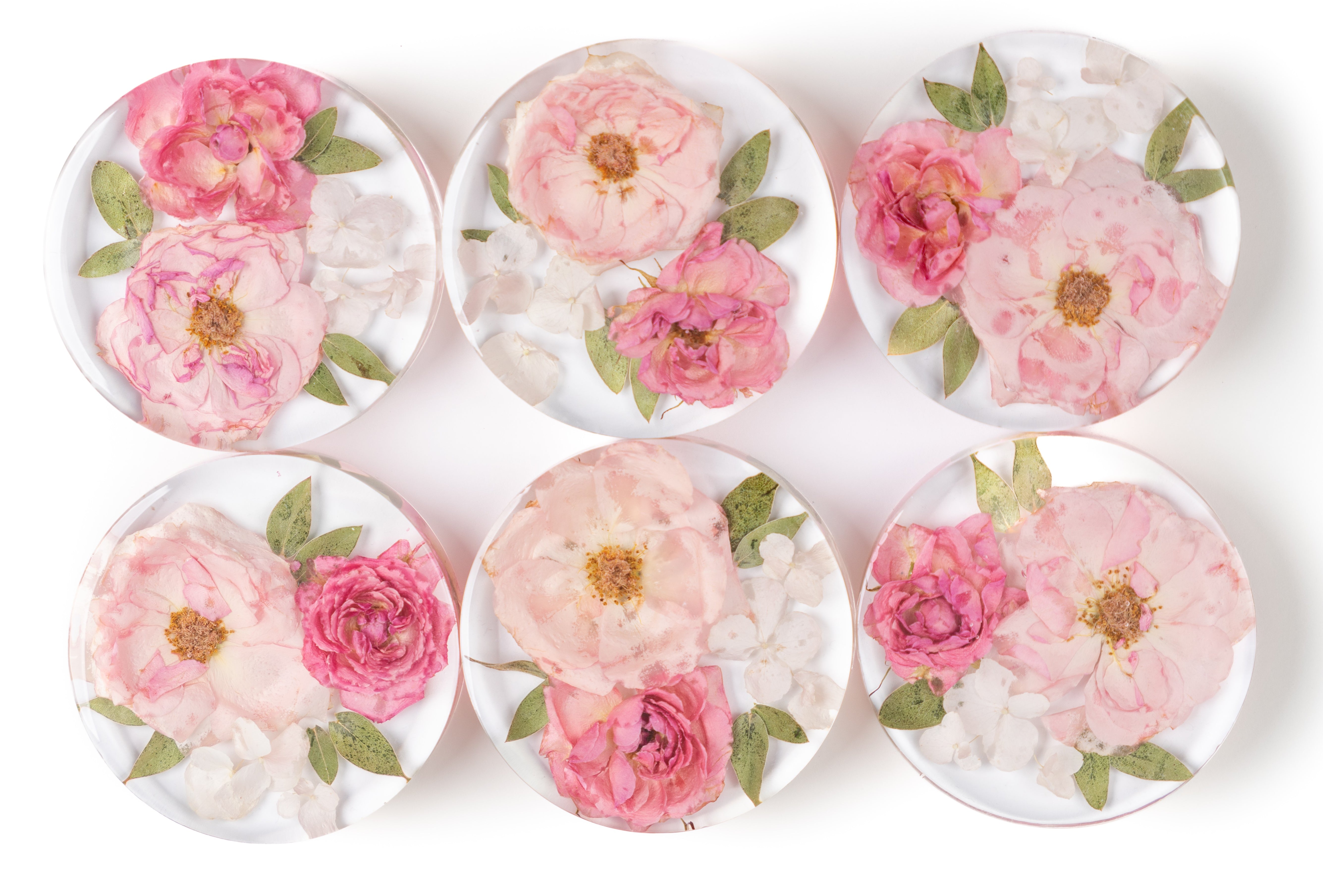 flower-preservation-coasters